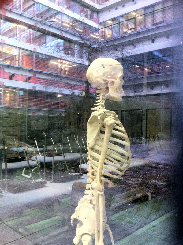 Klinikumstudie