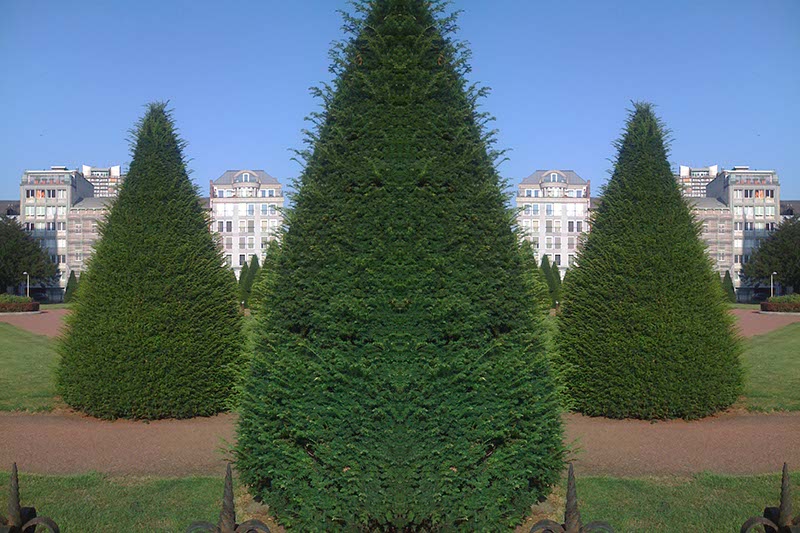 Doppelpark