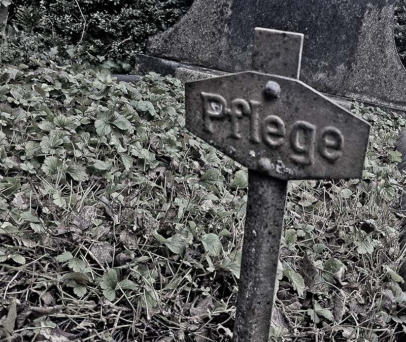 Pflege
