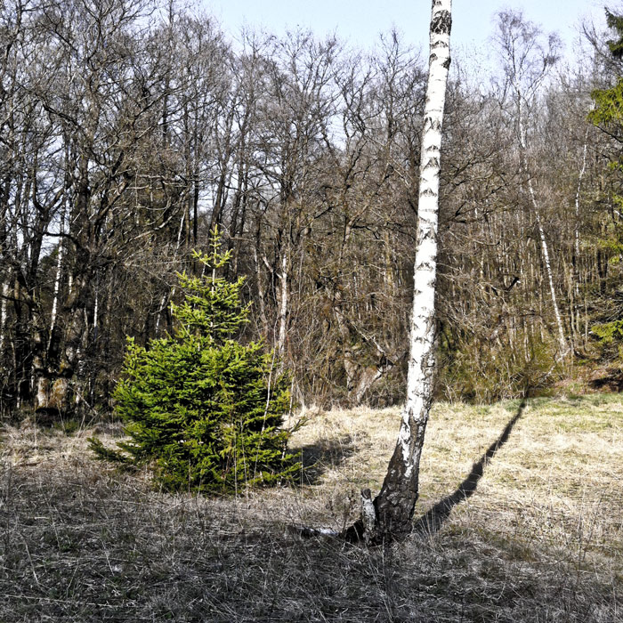 Nachbarn