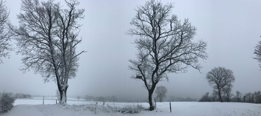 Höhe zw. Haaren und Broichweiden